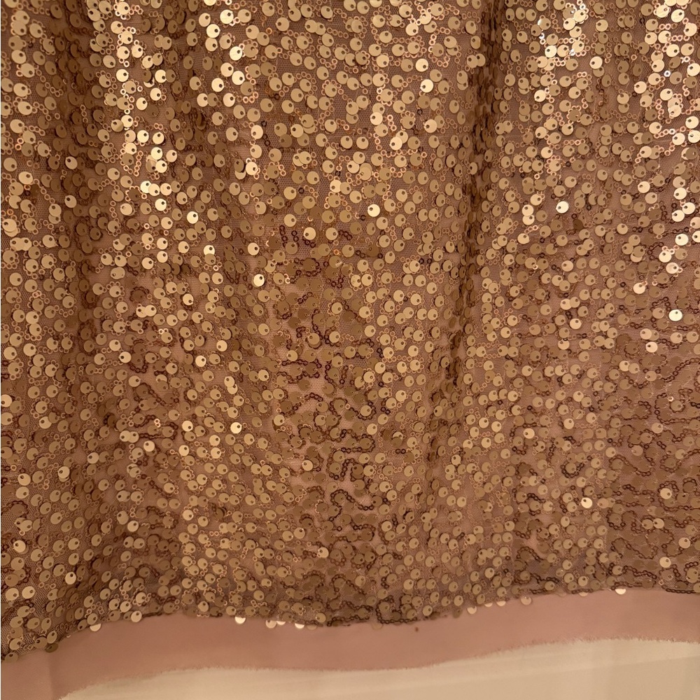 Vince Camuto Rose Gold Sequin Mini Dress
Stunning for any occasion. - Picture 7 of 14